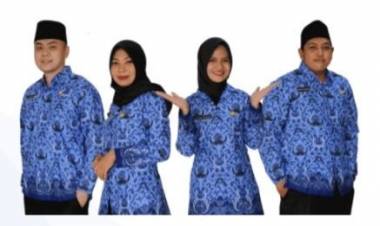 PENGUMUMAN PELAMAR YANG DINYATAKAN MEMENUHI SYARAT DAN TIDAK MEMENUHI SYARAT ADMINISTRASI PADA SELEKSI PENGADAAN CPNS DAN PPPK TENAGA FUNGSIONAL KESEHATANLINGKUP PEMERINTAH KABUPATEN BULUKUMBA TAHUN 2021